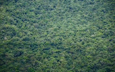 Ukázkový článek na blog 3