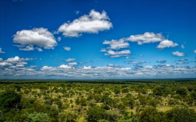 Ukázkový článek na blog 1